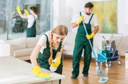 Cleaning Services