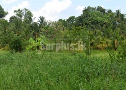 183 Perches Land for Sale in Anuradhapura