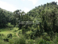 3 Acres Prime Land for sale in Kagalle close Kandy Road.