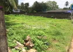 Commercial Land for Sale Bandaragama Panadura.