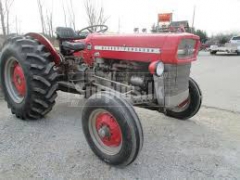 135 Masipeguson /25.