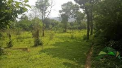 හොරණ මොරගහහේනෙන් පර්චස් 180ක්