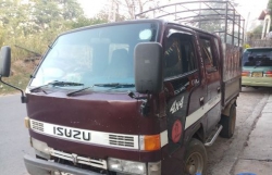 Isuzu Crew Cab 1990
