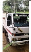 Isuzu Tipper 1991
