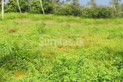 Land for Sale in Minuwangoda