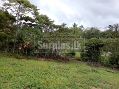 400 Perches Land for Sale in Meegoda Padukka.