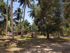 10P Land for Sale in Marawila