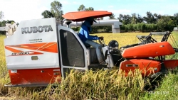 Kubota 68g