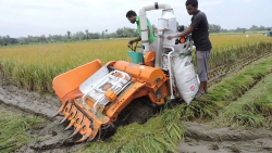 Mini combine hawester