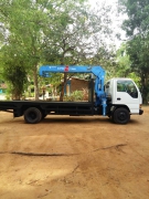 Isuzu Boom Truck