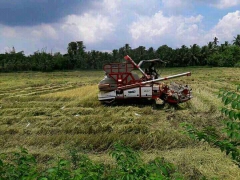 Claas crop tiger 30 ,wheel