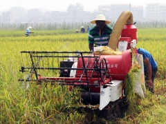 Brauns Crop Master