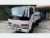 Isuzu ELF Lorry 1995