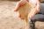 Sand