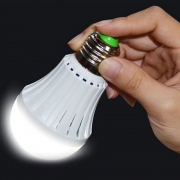 Emergency bulb