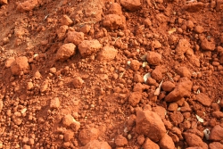 Red Soil