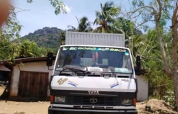 Tata 1109 2010