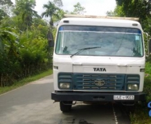 Tata 1615c 2011