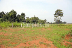 7 Acres Eco Friendly Land for Sale in Sigiriya