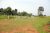 7 Acres Eco Friendly Land for Sale in Sigiriya