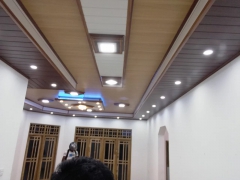 Ceiling Panel